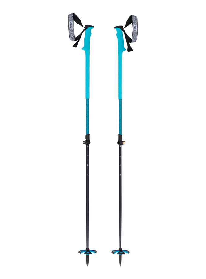 NORTH VARIO POLES - BLUE