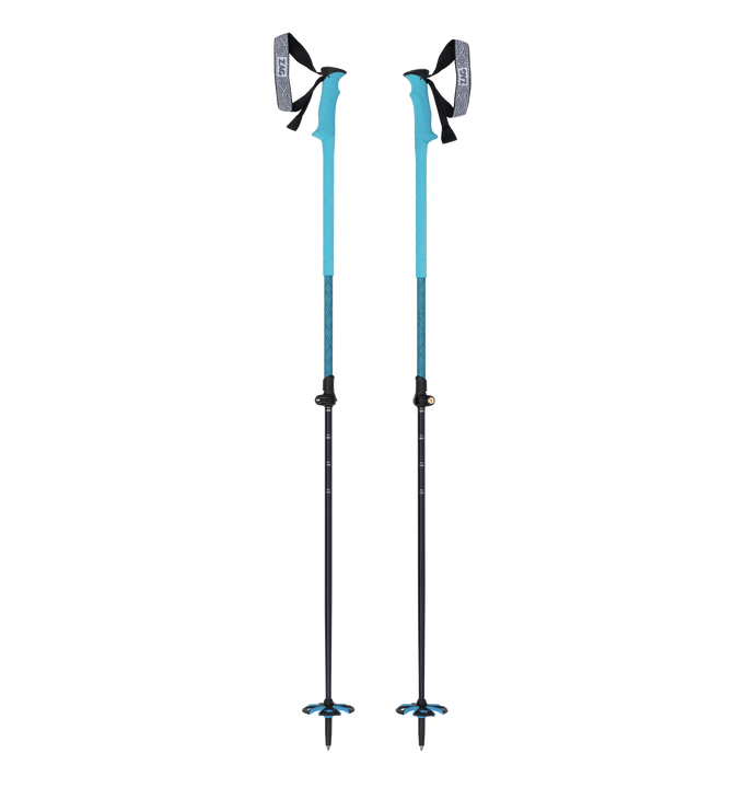 NORTH VARIO STÖCKE BLAU