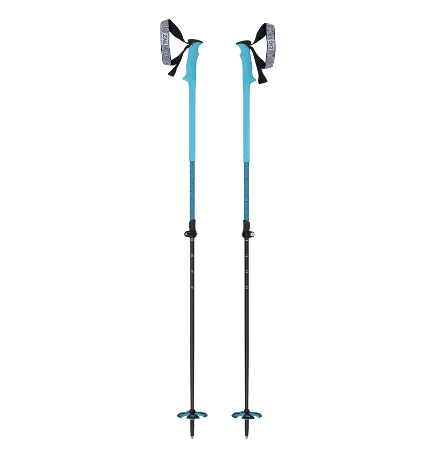 NORTH VARIO POLES - BLUE