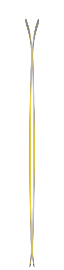 PIDA
