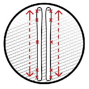 SHAPE 5 POINT